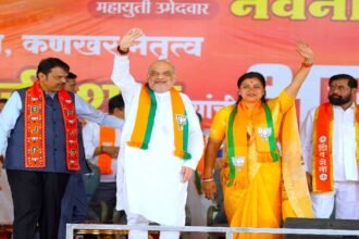 Manish Brahmbhatt, Kojpa Democratic, Cockroach
