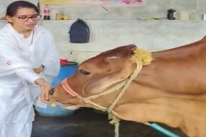 Ranchi News, Sadhvi Gopika, Radha Krishna Temple Pundag, Cow Service, Ashram Visit, Jharkhand News