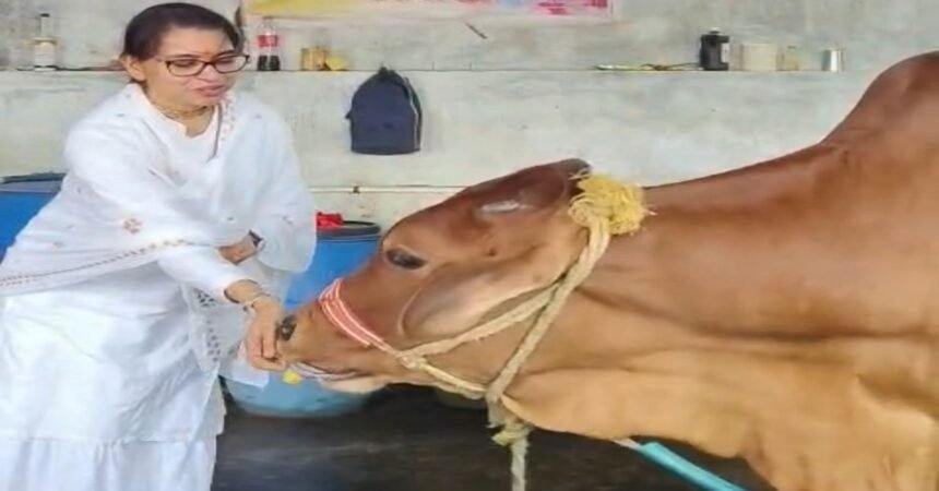 Ranchi News, Sadhvi Gopika, Radha Krishna Temple Pundag, Cow Service, Ashram Visit, Jharkhand News