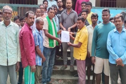 Bundu News, Wild Animal Attack, Paddy Crop Loss, Forest Department Bundu, Farmer Issues Jharkhand, Ranchi News, Kaleshwar Munda