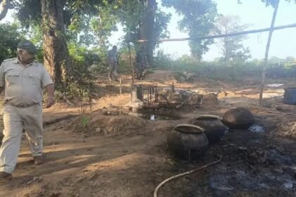 Chaibasa news, West Singhbhum excise department, illegal liquor raid, mahua liquor destruction, Hatgamharia news, Jhikpani police, crime news Jharkhand