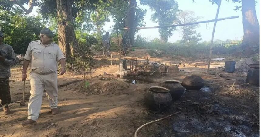 Chaibasa news, West Singhbhum excise department, illegal liquor raid, mahua liquor destruction, Hatgamharia news, Jhikpani police, crime news Jharkhand