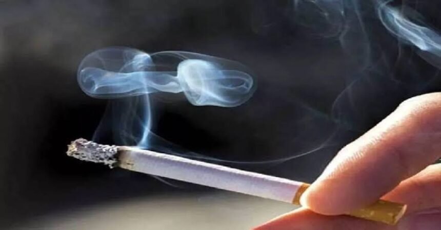 Delhi Police, Fake Cigarettes Seized, Crime News