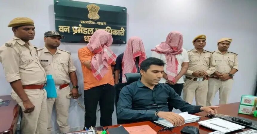Dhanbad news, wildlife smuggling, leopard skin, DFO Vikas Paliwal, Memco More, police raid, Jharkhand news
