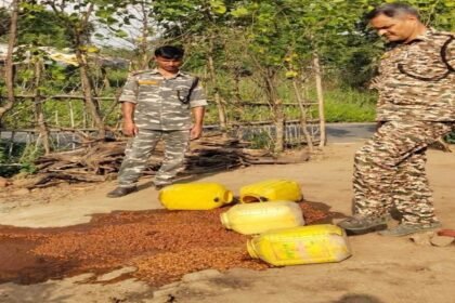 Garhwa News, Chiniya Police Station, Illegal Mahua Liquor, Shekhar Kumar Singh, Jharkhand Crime News, Illegal Liquor Raid, Garhwa Police