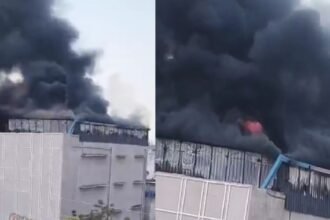 Raipur news, Raipur fire incident, Mahalaxmi Market fire, Pandri Raipur, Devendra Nagar police station, City Center Mall Raipur, Chhattisgarh news