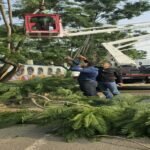 Ranchi news, Ranchi Municipal Corporation, green Ranchi initiative, skylifter tree pruning, horticulture ward distribution, Ranchi updates, Jharkhand local news