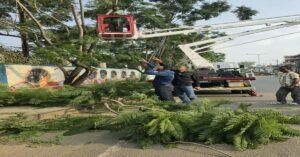 Ranchi news, Ranchi Municipal Corporation, green Ranchi initiative, skylifter tree pruning, horticulture ward distribution, Ranchi updates, Jharkhand local news