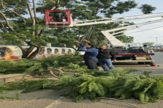 Ranchi news, Ranchi Municipal Corporation, green Ranchi initiative, skylifter tree pruning, horticulture ward distribution, Ranchi updates, Jharkhand local news