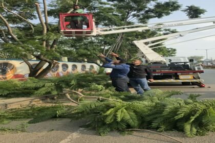 Ranchi news, Ranchi Municipal Corporation, green Ranchi initiative, skylifter tree pruning, horticulture ward distribution, Ranchi updates, Jharkhand local news