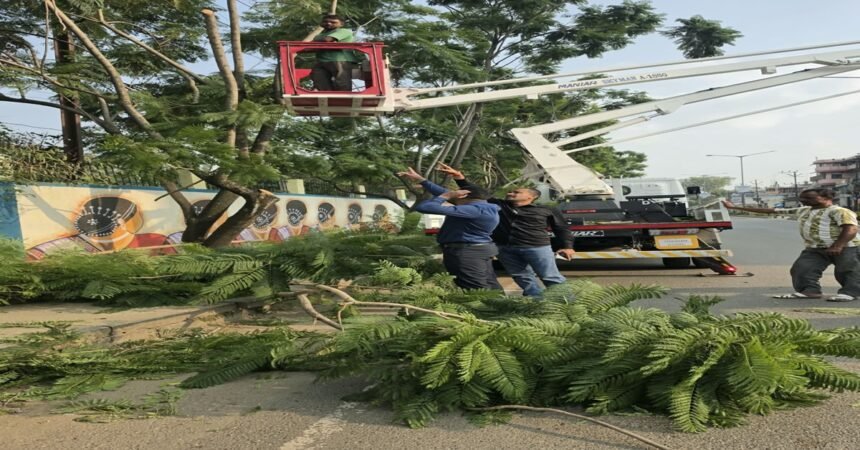 Ranchi news, Ranchi Municipal Corporation, green Ranchi initiative, skylifter tree pruning, horticulture ward distribution, Ranchi updates, Jharkhand local news