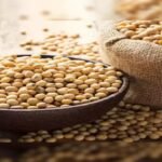 SOPA India, GM soybean import ban, Soybean Processors Association, Naresh Goenka, DN Pathak, edible oil self-reliance, Indore news, agriculture news India