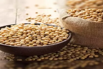 SOPA India, GM soybean import ban, Soybean Processors Association, Naresh Goenka, DN Pathak, edible oil self-reliance, Indore news, agriculture news India