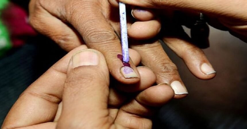 Tamil Nadu Bypolls, Puducherry Bypolls, Madurantakam, Dharapuram, Thattanchavady, Election Commission, TVK, AINRC, AIADMK, DMK