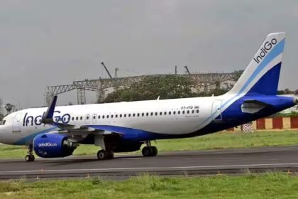 indigo