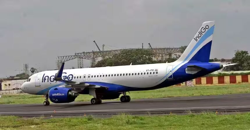 indigo