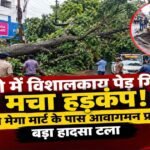 jamshedpur-mango-news-giant-tree-falls-near-vishal-mega-mart