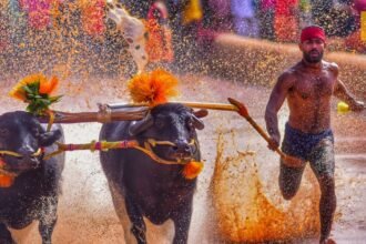 mysuru-dasara-first-time-kambala-buffalo-race-opposition-yatindra-siddaramaiah